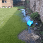 Effective Waterlogged Garden Solutions: Restore Your Garden’s Health